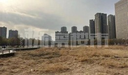 奎屯最新爆料,揭秘城市新动向与未来规划